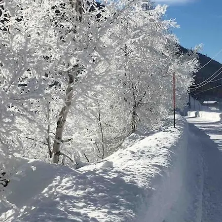 公寓 Fiesch-lax Minnig Moritz 拉克斯