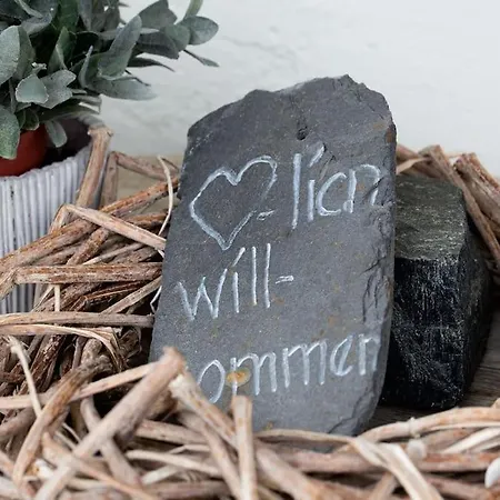 Fiesch-lax Minnig Moritz 公寓