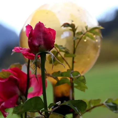 Fiesch-lax Minnig Moritz * 拉克斯