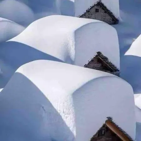 Fiesch-lax Minnig Moritz * 拉克斯