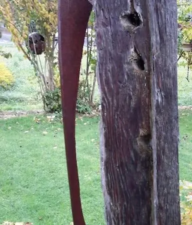 Fiesch-lax Minnig Moritz Lax