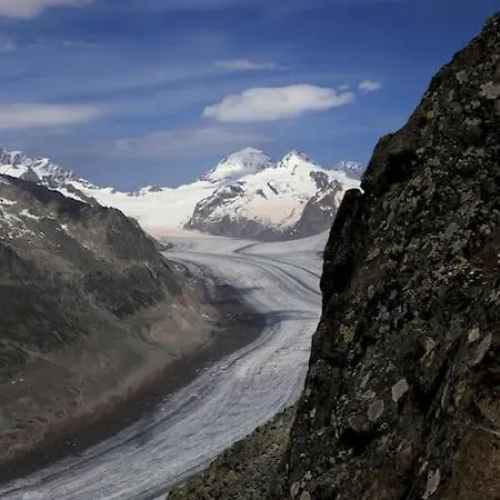 公寓 Fiesch-lax Minnig Moritz