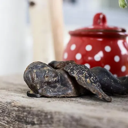 Appartement Fiesch-lax Minnig Moritz *