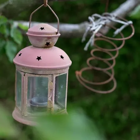 Fiesch-lax Minnig Moritz