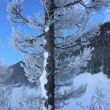 Fiesch-lax Minnig Moritz Appartement