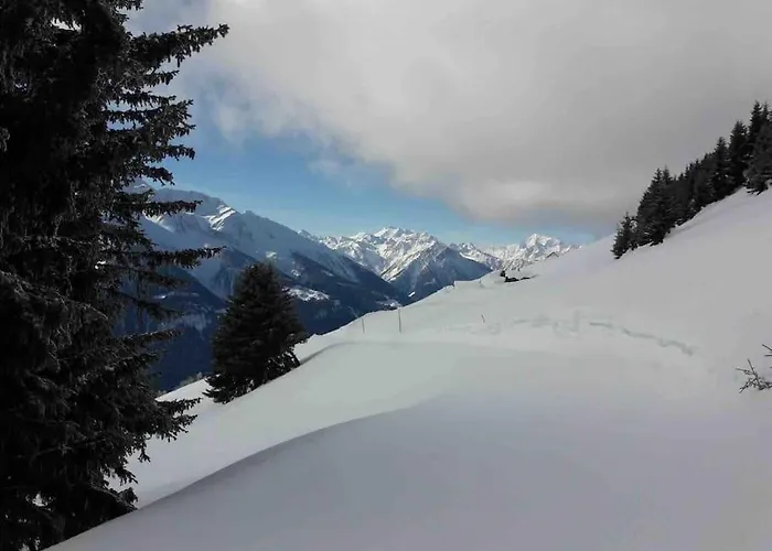 Apartamento Fiesch-lax Minnig Moritz *