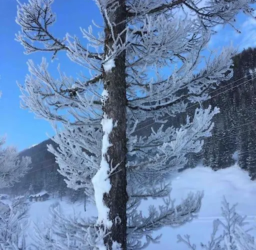 Fiesch-lax Minnig Moritz Apartamento