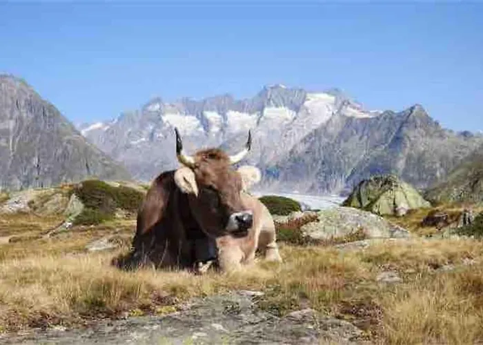 Fiesch-lax Minnig Moritz Apartamento Lax