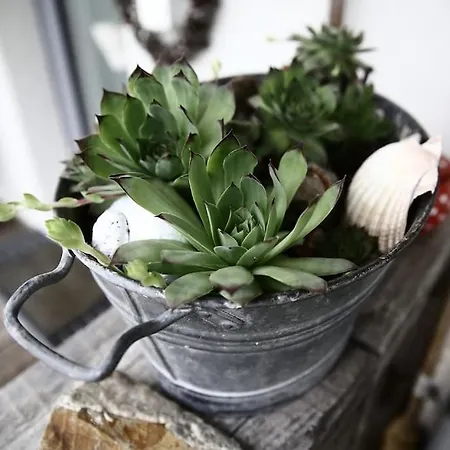 Fiesch-lax Minnig Moritz Apartamento *