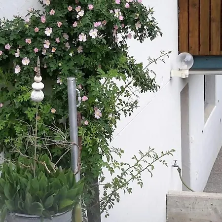 Fiesch-lax Minnig Moritz Apartamento